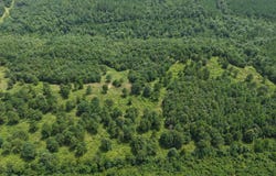 TBD West Tract Weaver Lane, Grannis, AR 71944