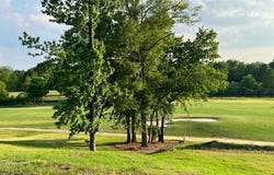 749 Indian Oaks Dr., Saltillo, MS 38866