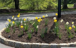 121 Waterford Drive, Edison, NJ 08817