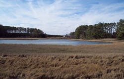 METOMPKIN RD lot: #6, GARGATHA, VA 23421