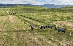 218 McCormick Road, Sheridan, WY 82801