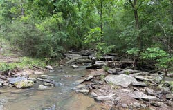 25942 E 14 Highway, Mountain View, AR 72560