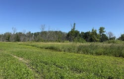 QUIGLEY Road, WINNECONNE, WI 54986