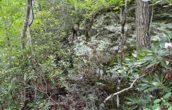Tbd Buzzard Roost Ln, Hillsville, VA 24343