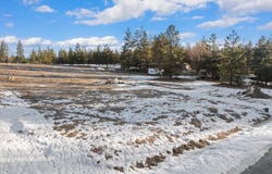 36 Joe Road, Eureka, MT 59917