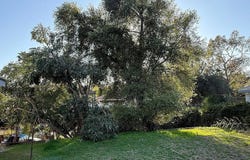 1143 Armada Drive, Pasadena, CA 91103