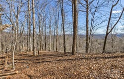 Anderson Branch Road, Marshall, NC 28753