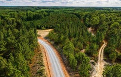 JC Barefoot Rd, Patrick, SC 29584