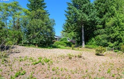 VIEW LOOP, Florence, OR 97439