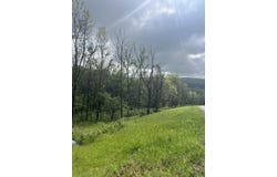 000 Lot 169 Panorama Drive, Cape Fair, MO 65624