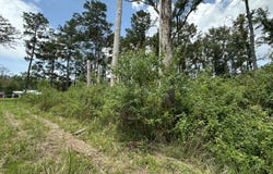 0 Cane Market Rd., Walker, LA 70785