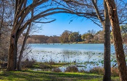 135 Rooster Ridge, Kerrville, TX 78028