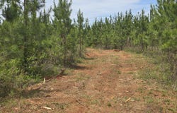 08 Marvin Murphy, Ellaville, GA 31806