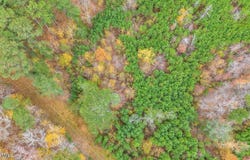 Lot3 Canopy Drive, Chapel Hill, NC 27516