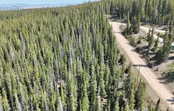 72 SUNSHINE DRIVE, Fairplay, CO 80440