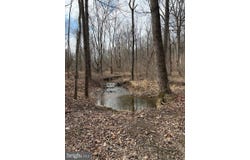 GUE Road, DAMASCUS, MD 20872