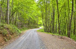 34 Acres Apache Rd, Woodlawn, VA 24381