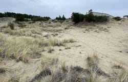 PACIFIC VIEW Dr, Florence, OR 97439