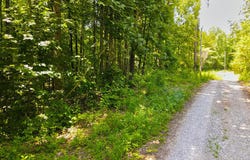 1119 Harmon Creek Road, Monticello, KY 42633