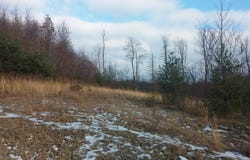 1 Sherry Hollow Rd, Mayport, PA 16240