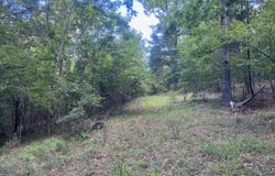0 Hully Bridge Rd Lot 4, Buffalo, SC 29321