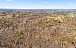 00 Co Rd 1067, Vinemont, AL 35179