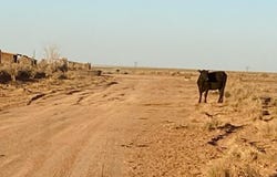 Tbd Hodges Ln 39.05 Acres, Holbrook, AZ 86025