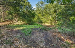 005 Cantrell Road, Mansfield, MO 65704