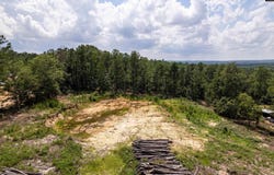 204 Doe Drive, Hopkins, SC 29061