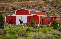 82678 Shotgun Pass Lane, Christmas Valley, OR 97641