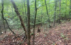 COUNTY ROAD 52, GOODWATER, AL 35072