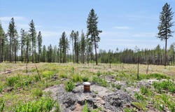 000 W DENISON-CHATTAROY Rd, Deer Park, WA 99006