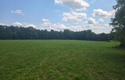 Al Martin Rd, Robbins, TN 37852