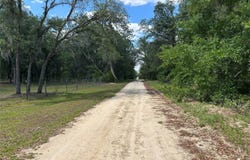 Tbd NE 123RD AVENUE, WILLISTON, FL 32696