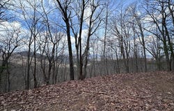 Pack Mountain Road, Murphy, NC 28906