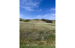1115 Bowers Road, Sundance, WY 82729