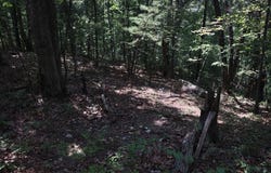 BLEVINS ROAD, LURAY, VA 22835