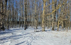T.B.D. Rock Ridge Rd, Sturgeon Bay, WI 54235