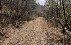 1297 KY-191, West Liberty, KY 41472