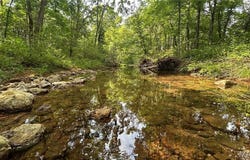 2322 Madison 257, Fredericktown, MO 63645