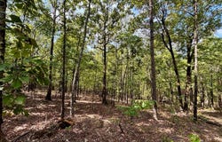 Tbd Broken Bow Trl., Lonsdale, AR 72087