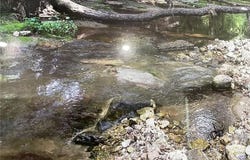 1100 MC 4013, Harrison, AR 72601