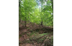 Lot 133 Shiloh Court, Ellijay, GA 30540