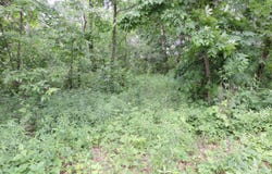 17840 Circle Drive, Boscobel, WI 53805