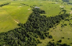 70+/- Acres Turner, Franklin, TX 77856