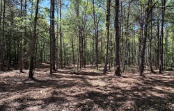 2 Ac E Angela Drive, Lagrange, GA 30240
