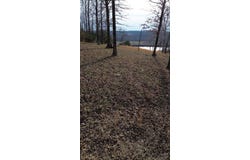 763 PURDY VIEW ACRES Dr lot: 2, Bath Springs, TN 38311