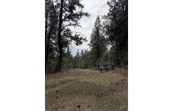 Sunset Loop lot: 16, Cascade, ID 83611