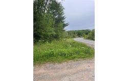 39 Birch Lane, Swan Lake, NY 12783