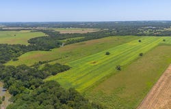 TBD 15.205 Acres Devault Ln, Brenham, TX 77833